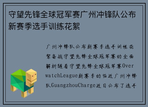 守望先锋全球冠军赛广州冲锋队公布新赛季选手训练花絮