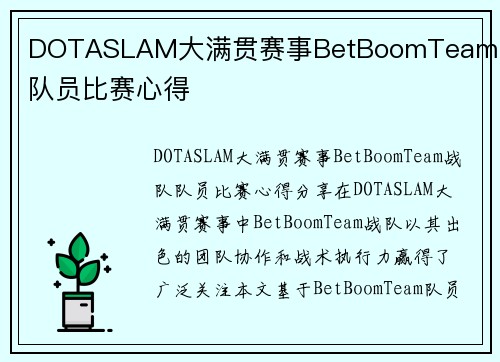 DOTASLAM大满贯赛事BetBoomTeam战队队员比赛心得