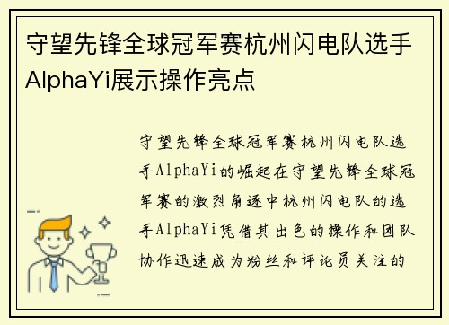 守望先锋全球冠军赛杭州闪电队选手AlphaYi展示操作亮点